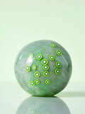 Kiwi Choc (Wax Cracking)